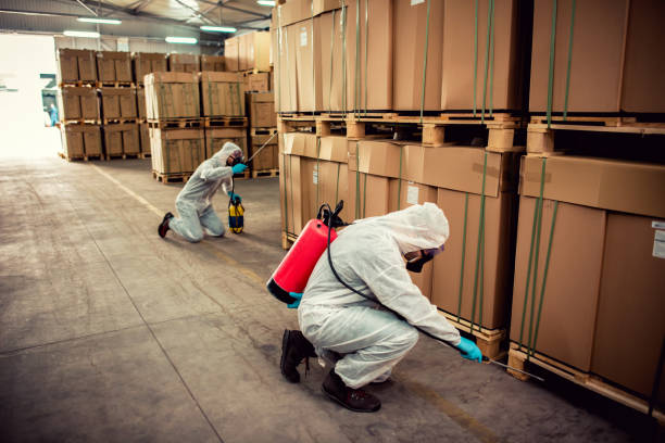 Best Exterminator Services  in Tazewell, TN