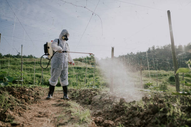 Best Pest Removal Services  in Tazewell, TN