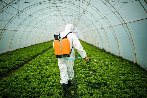 Reliable Tazewell, TN Pest Control Solutions