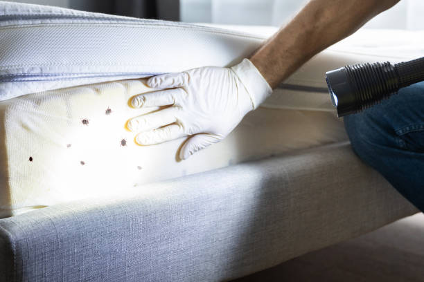Pest Control Cost in Tazewell, TN