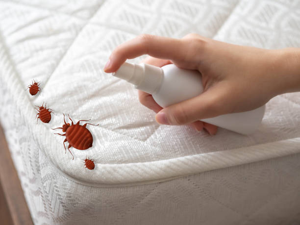 Best Pest Prevention Services  in Tazewell, TN