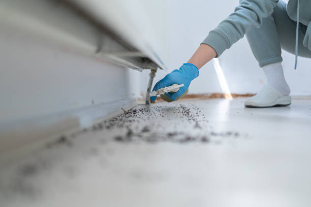 Wildlife Control Services in Tazewell, TN